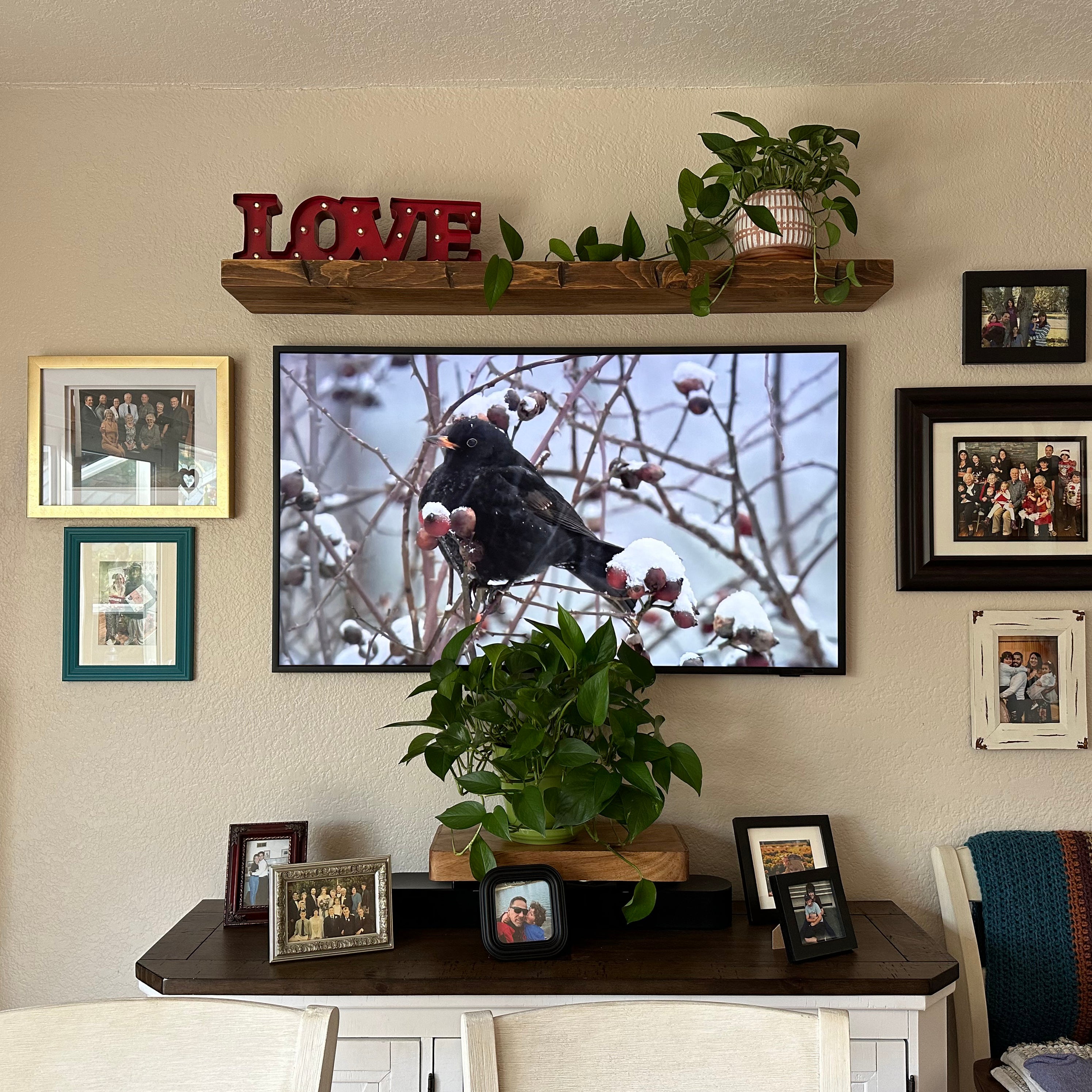 2" Thick Hand Hewn | Various Depths & Widths